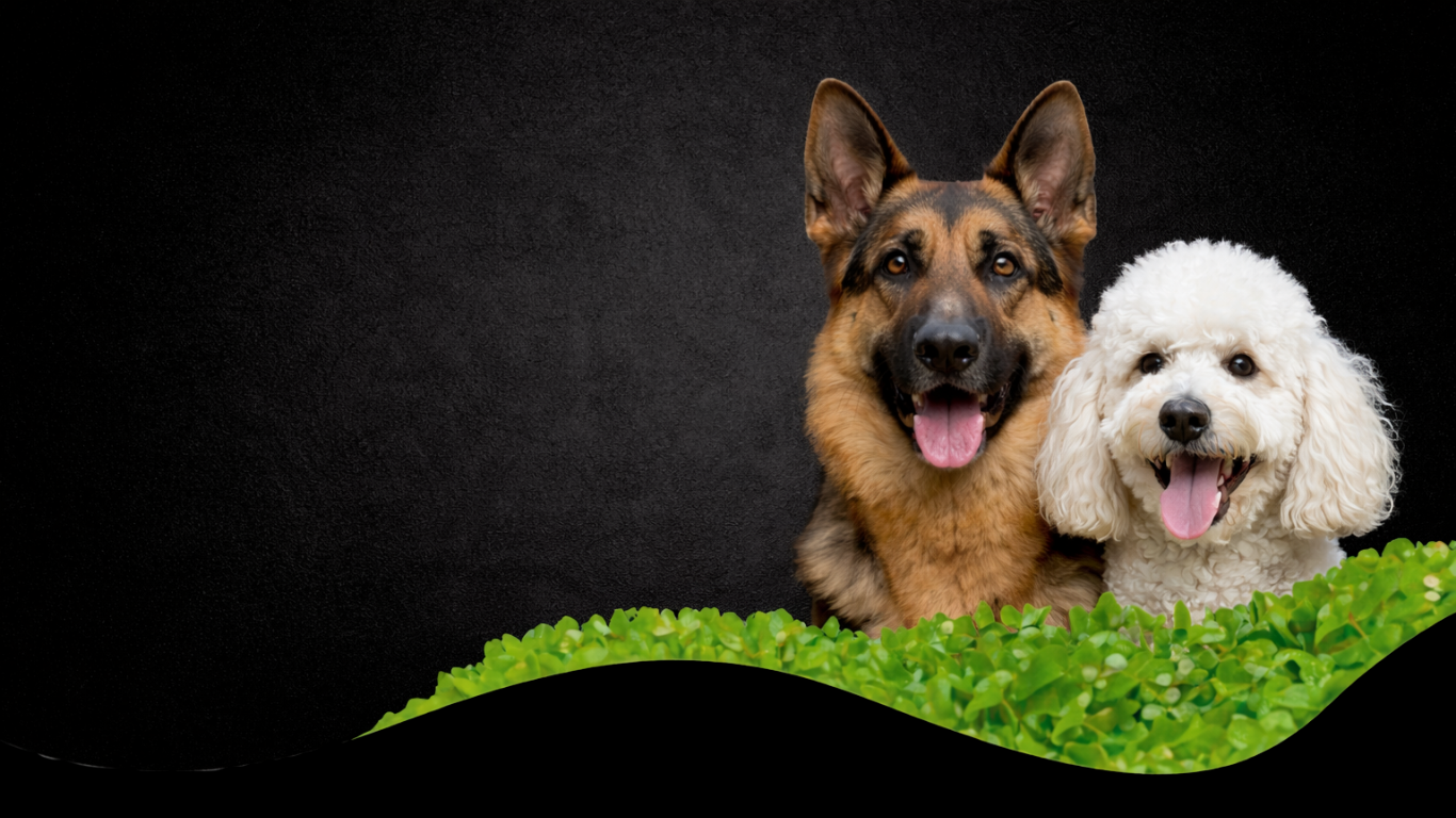 bt_bb_section_top_section_coverage_image